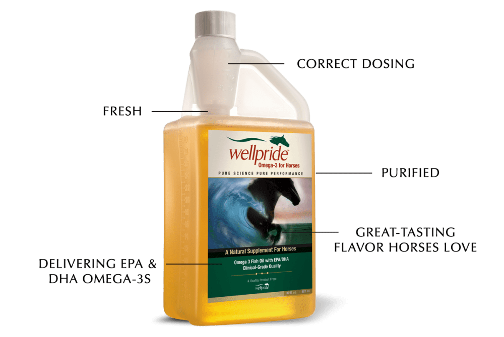 Best Omega 3 for Horses Wellpride Fish Oil Info & Benefits